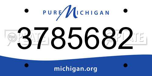 3785682 Michigan License Plate