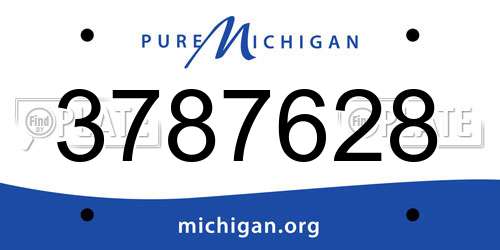 3787628 Michigan License Plate