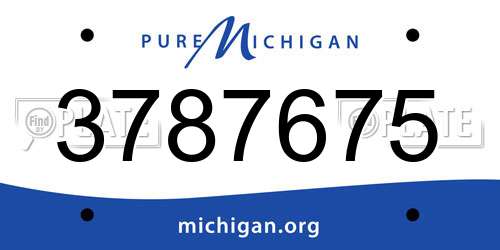 3787675 Michigan License Plate