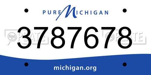 3787678 Michigan License Plate