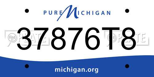 37876T8 Michigan License Plate