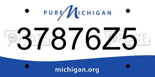 37876Z5 Michigan License Plate