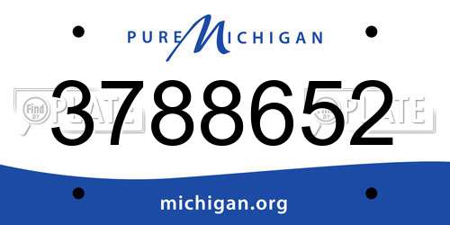 3788652 Michigan License Plate