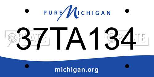37TA134 Michigan License Plate