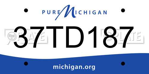 37TD187 Michigan License Plate