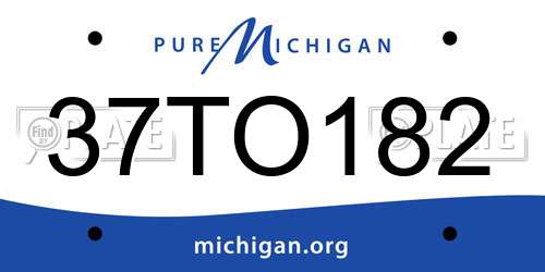 37TO182 Michigan License Plate
