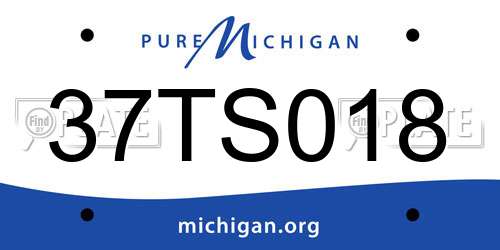 37TS018 Michigan License Plate