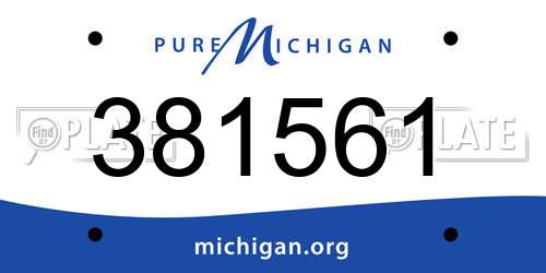 381561 Michigan License Plate