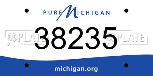 38235 Michigan License Plate
