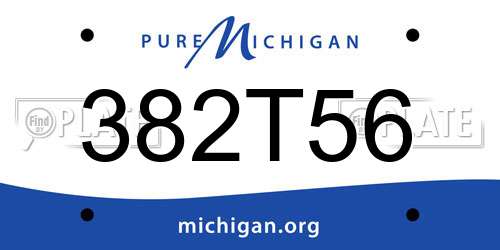 382T56 Michigan License Plate