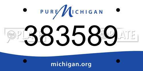 383589 Michigan License Plate