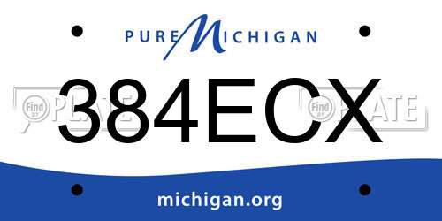 384ECX Michigan License Plate