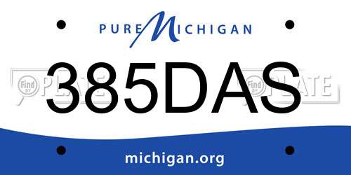 385DAS Michigan License Plate