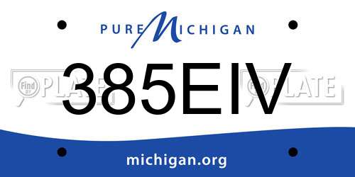 385EIV Michigan License Plate