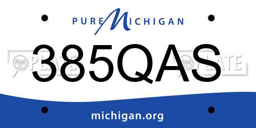 385QAS Michigan License Plate