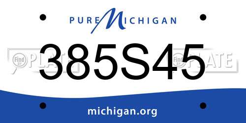 385S45 Michigan License Plate