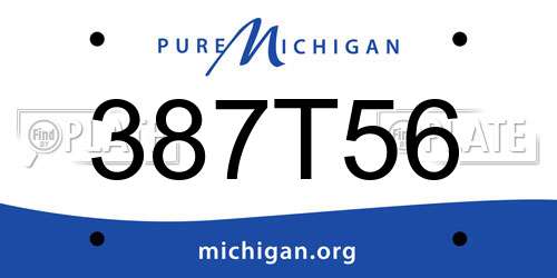 387T56 Michigan License Plate