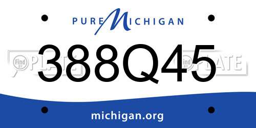 388Q45 Michigan License Plate