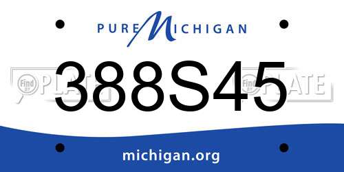 388S45 Michigan License Plate