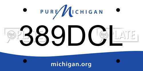389DCL Michigan License Plate