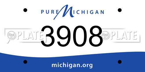 3908 Michigan License Plate