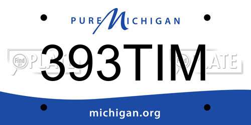 393TIM Michigan License Plate
