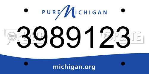 3989123 Michigan License Plate