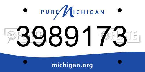 3989173 Michigan License Plate