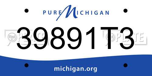 39891T3 Michigan License Plate