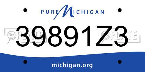 39891Z3 Michigan License Plate