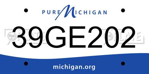 39GE202 Michigan License Plate