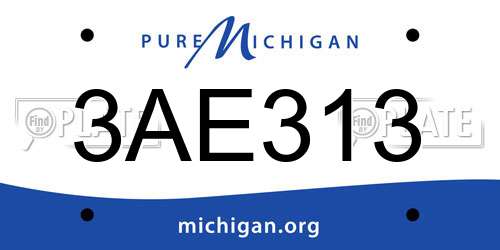 3AE313 Michigan License Plate
