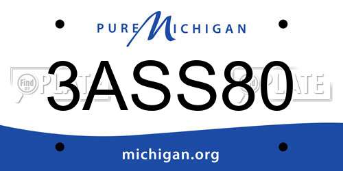 3ASS80 Michigan License Plate