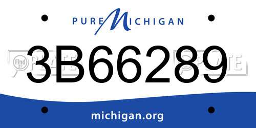 3B66289 Michigan License Plate