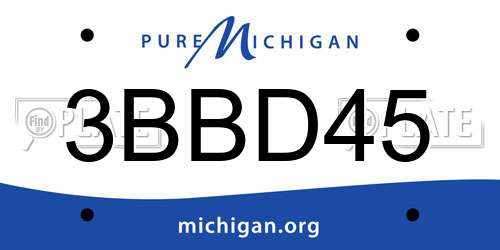 3BBD45 Michigan License Plate