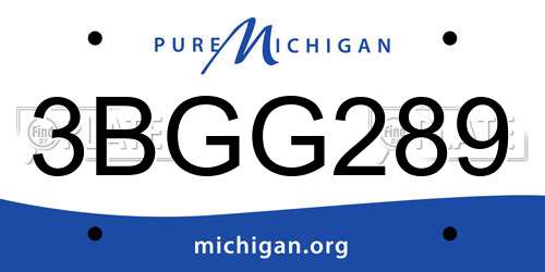 3BGG289 Michigan License Plate
