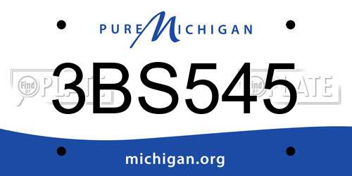 3BS545 Michigan License Plate