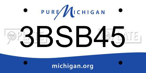 3BSB45 Michigan License Plate