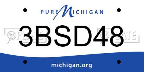 3BSD48 Michigan License Plate