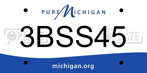 3BSS45 Michigan License Plate