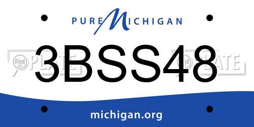 3BSS48 Michigan License Plate