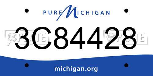 3C84428 Michigan License Plate