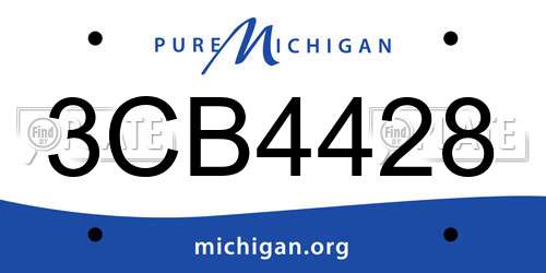3CB4428 Michigan License Plate