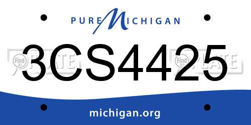 3CS4425 Michigan License Plate