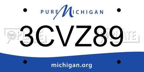 3CVZ89 Michigan License Plate