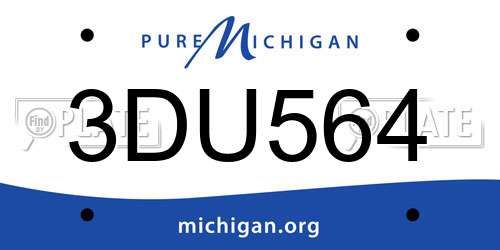3DU564 Michigan License Plate