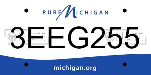 3EEG255 Michigan License Plate