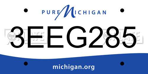 3EEG285 Michigan License Plate