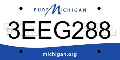 3EEG288 Michigan License Plate