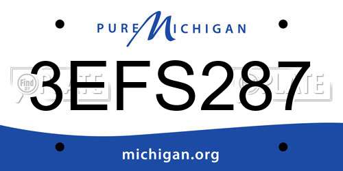3EFS287 Michigan License Plate